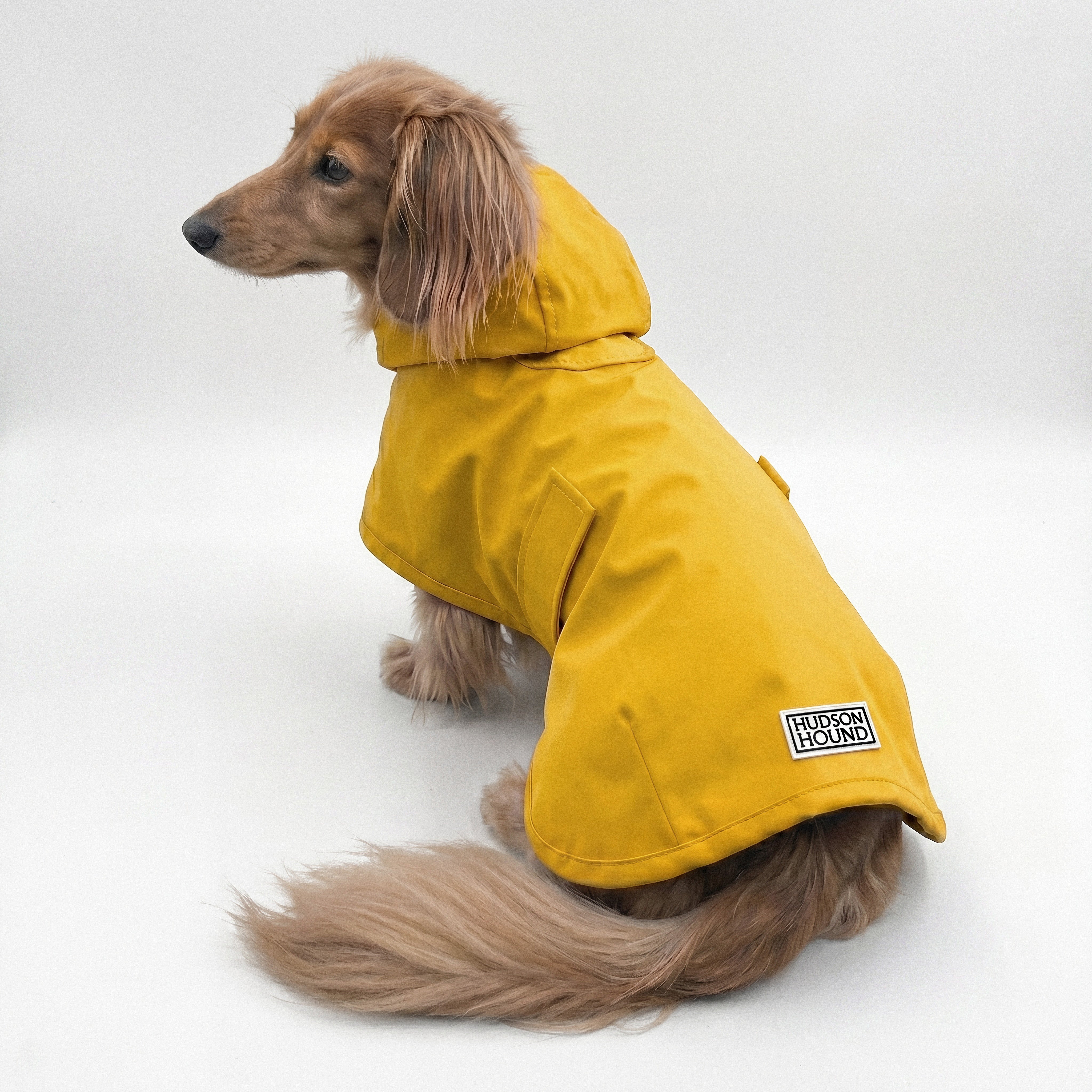 Dachshund Raincoat