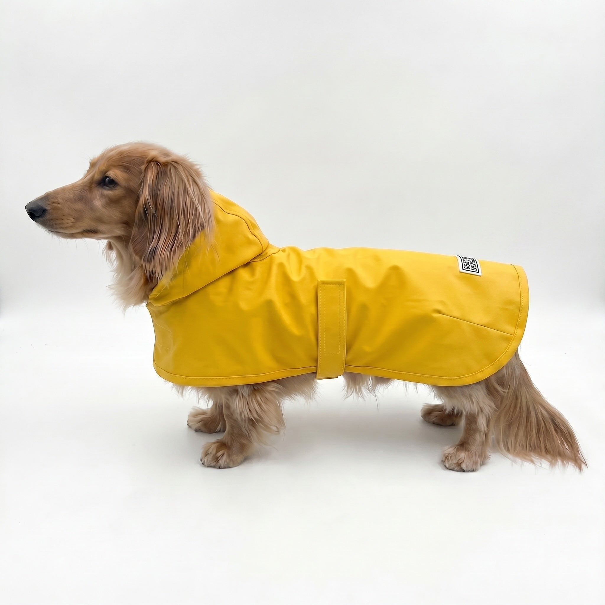 Dachshund Raincoat