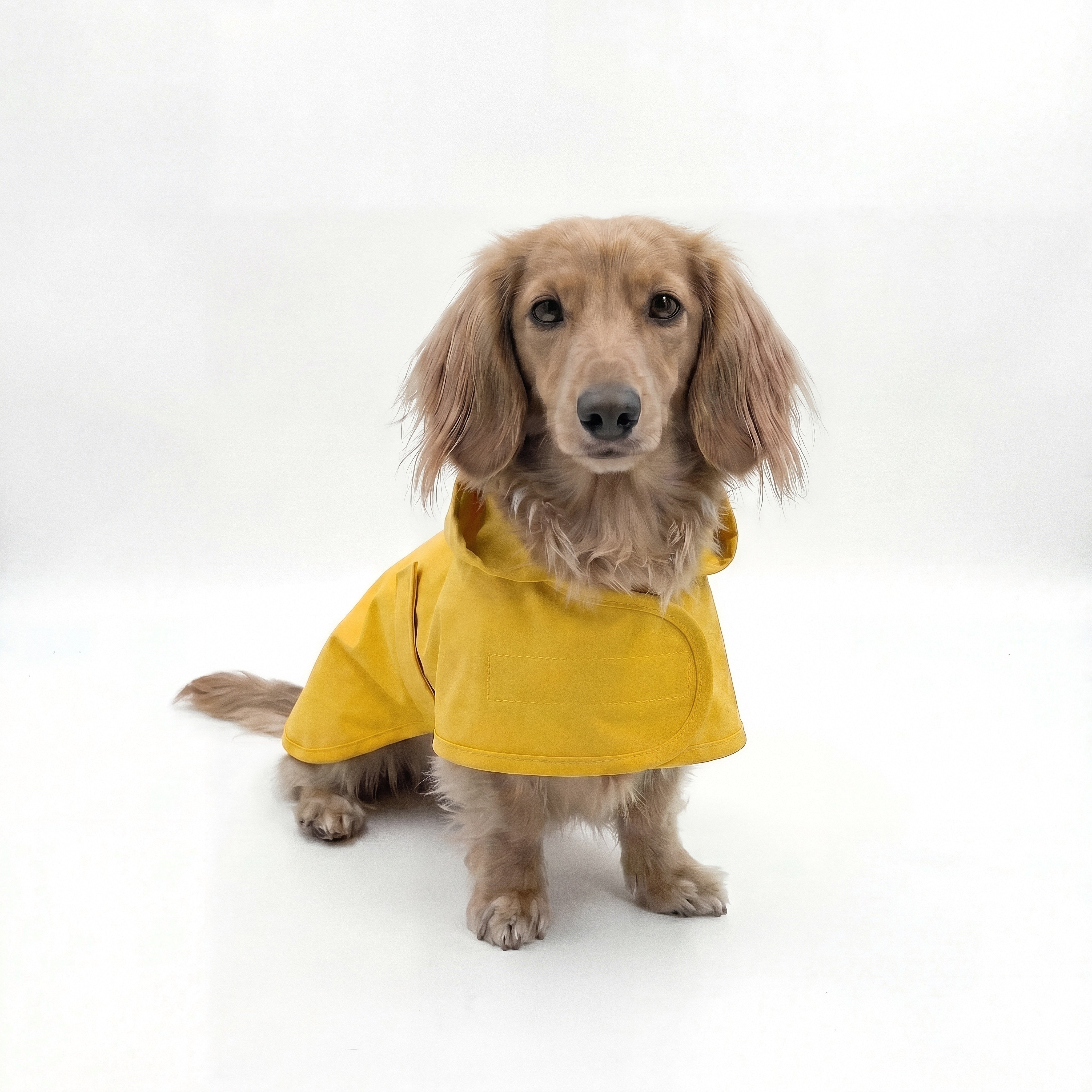Dachshund Raincoat