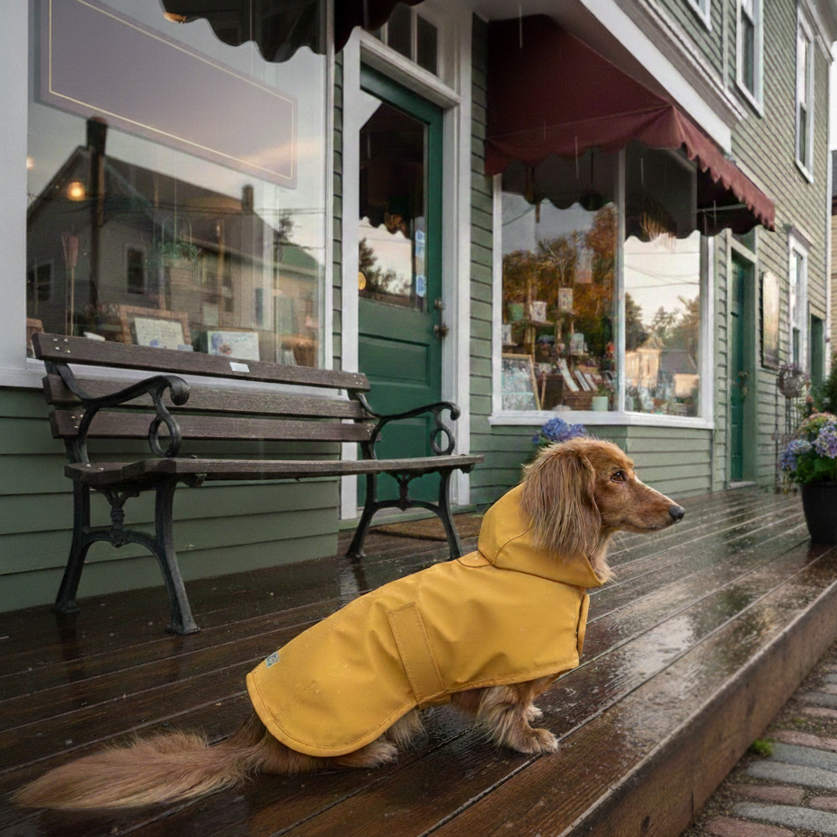 Dachshund Raincoat