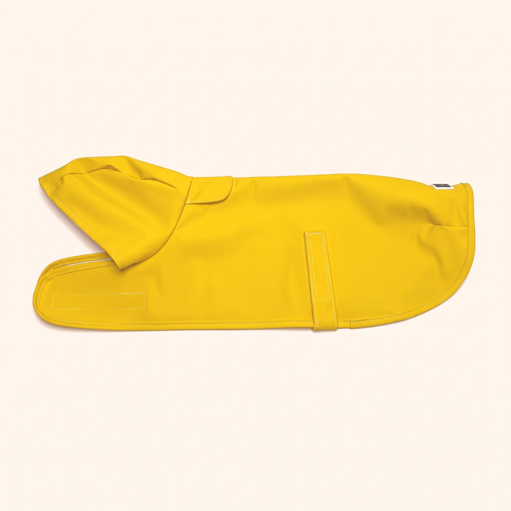 Dachshund Raincoat